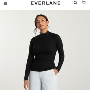 Everlane pleated turtle neck - hardly worn!